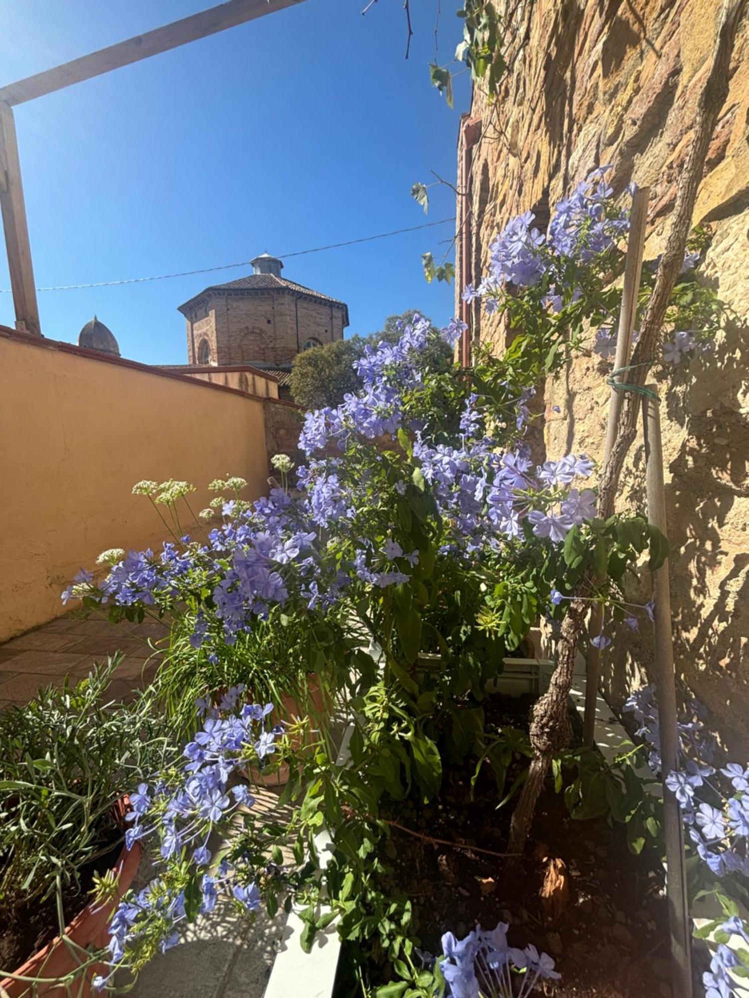 Domus Mirabilis Homestay Ancône Extérieur photo